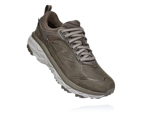 HOKA Challenger Low Gore-tex Vandresko Dame Brune | KWFUT-6578